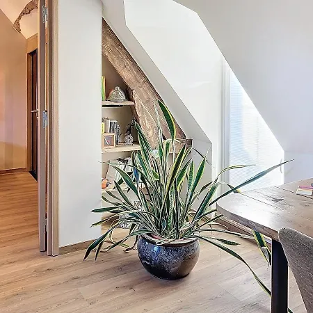 Longere Andrea - Piscine & Foret Villa *